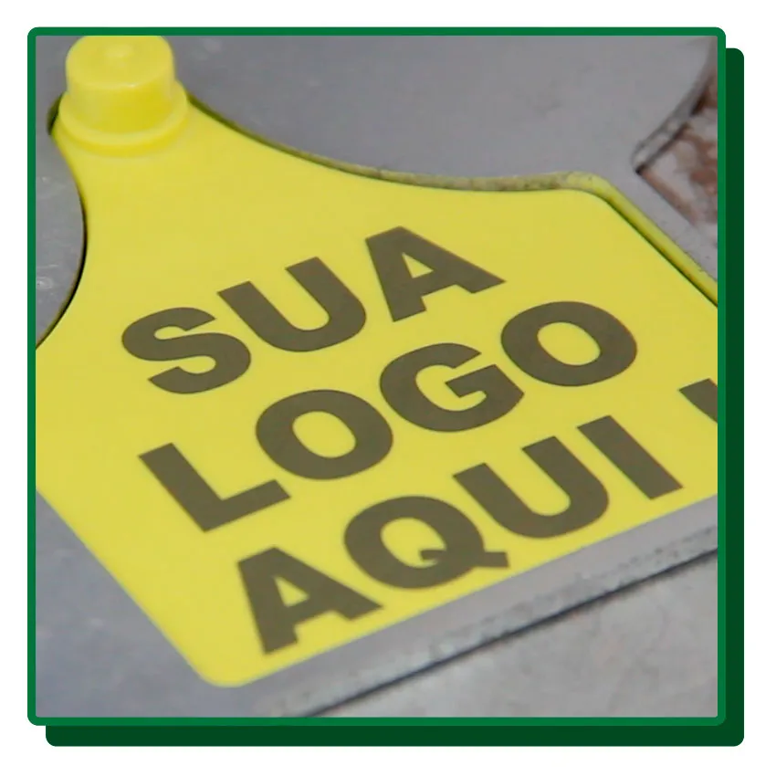 Gravação a Laser