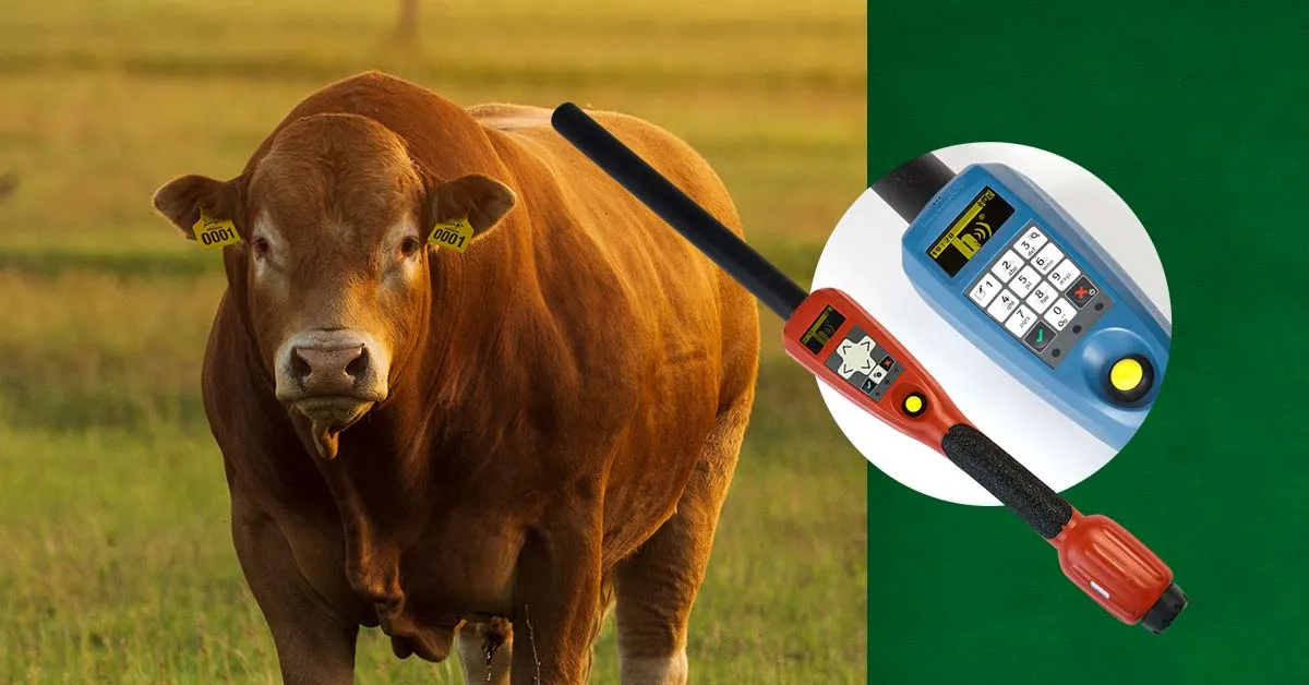 bastão eletrônico na pecuária
